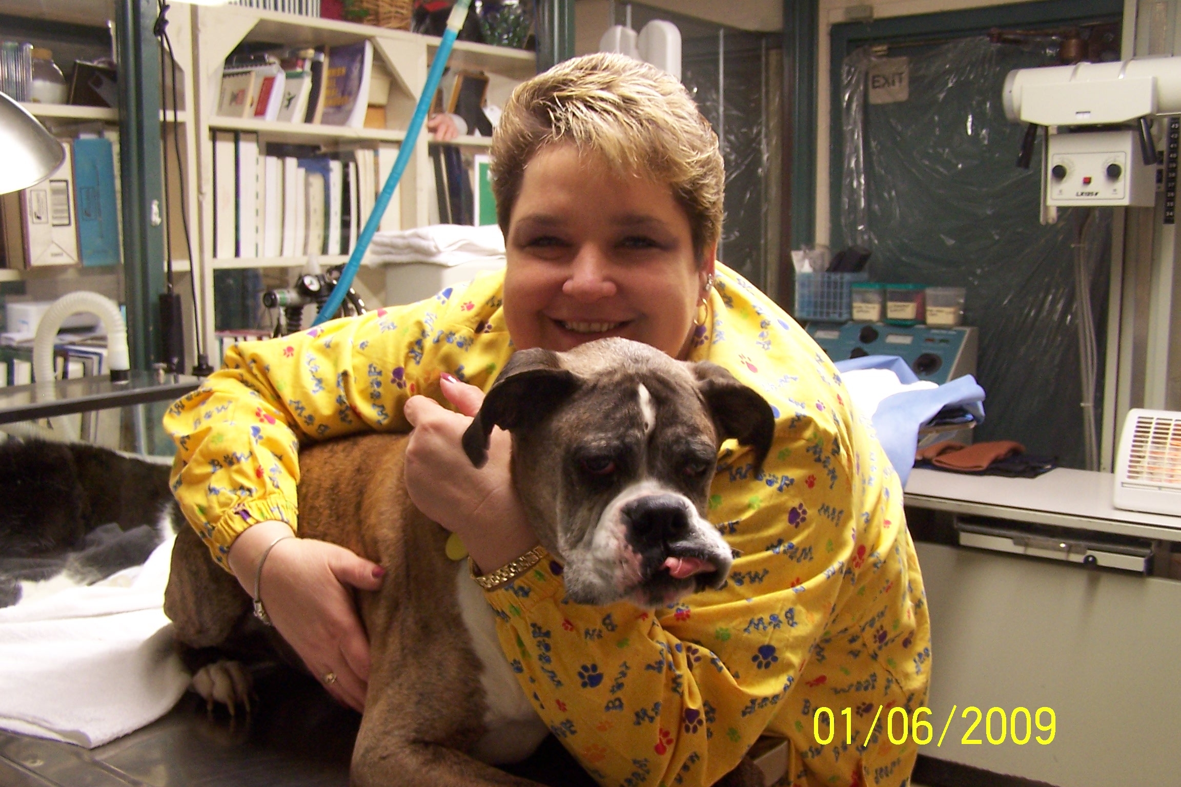 Vet In Lansing Mi Southside Animal Hospital