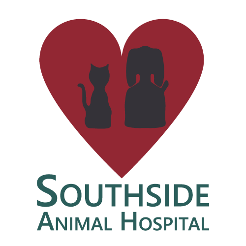 Veterinarian in Lansing, MI | Southside Animal Hospital